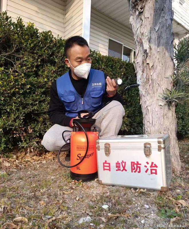 廣州市白蟻防治服務全指南 專業消殺，全市縣鎮覆蓋